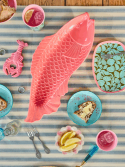Rice, ceramic serving dish, coral fish