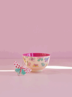Rice, melamine bowl  with butterfly print.